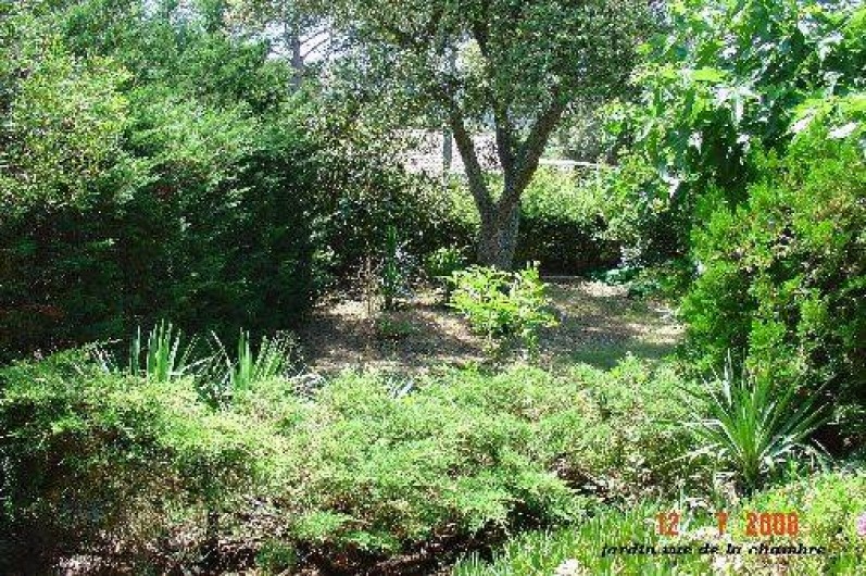 Location de vacances - Appartement à Saint-Raphaël