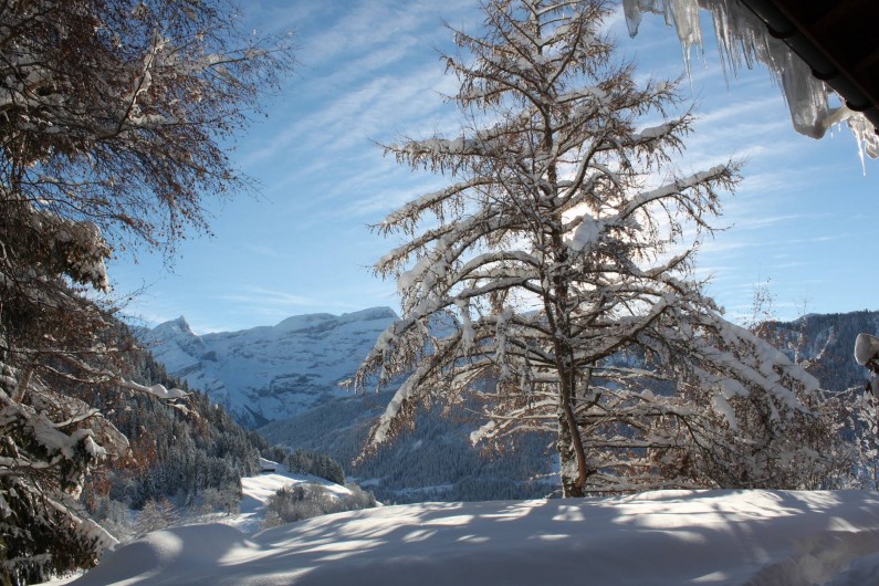 Location de vacances - Chalet à La Comballaz - vue du salon sur le Glacier des Diablerets