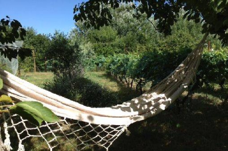 Location de vacances - Villa à Avignon