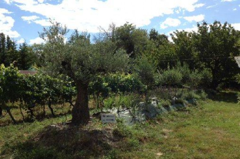 Location de vacances - Villa à Avignon