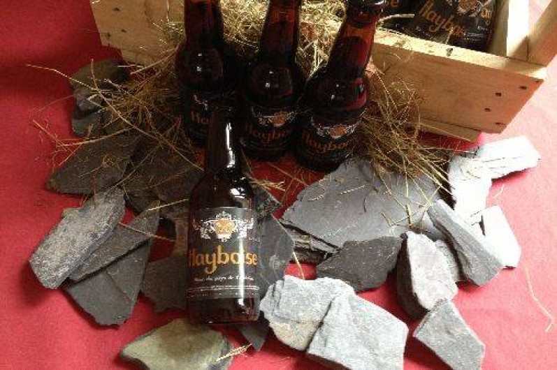 Location de vacances - Château - Manoir à Haybes