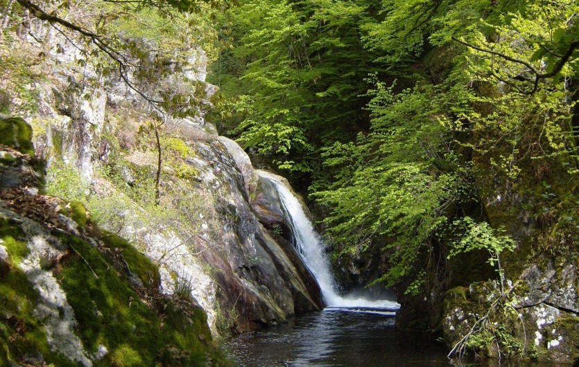 Location de vacances - Gîte à Saint-Hilaire-les-Courbes - Prenez un pique nique près de cette cascade....