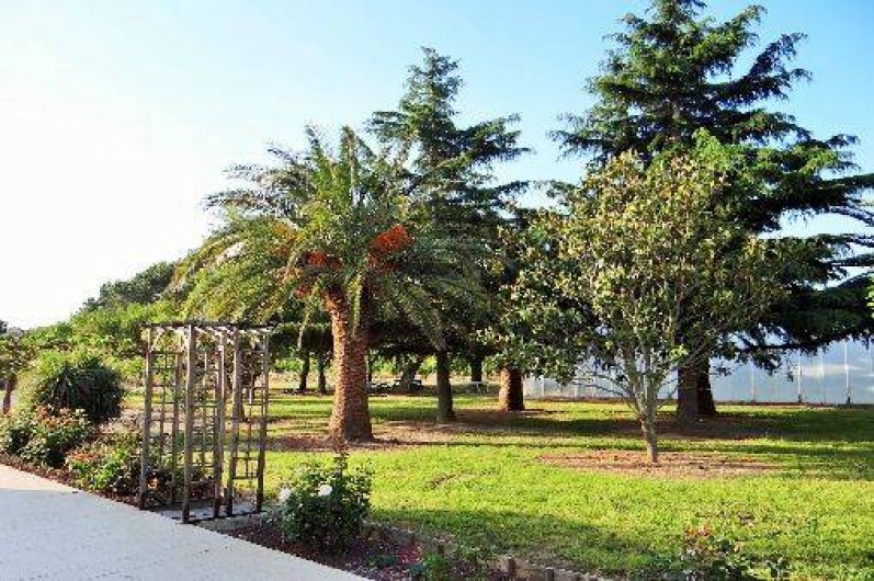 Location de vacances - Chambre d'hôtes à Ortaffa - Parc