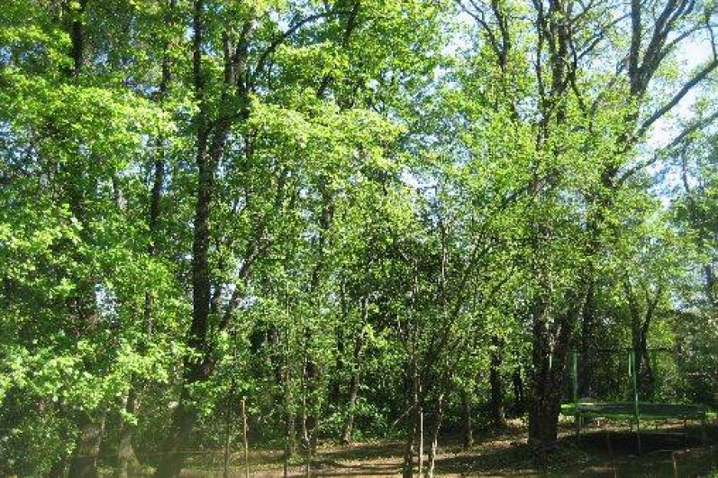 Location de vacances - Gîte à Durfort-et-Saint-Martin-de-Sossenac