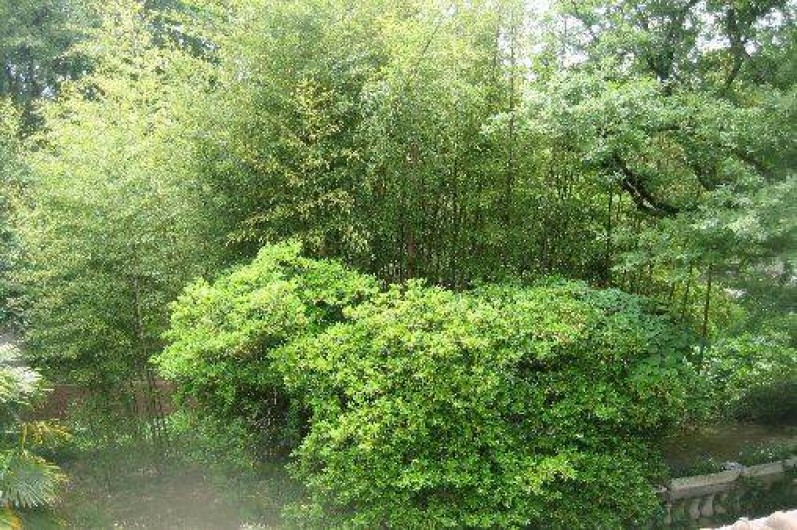 Location de vacances - Gîte à Durfort-et-Saint-Martin-de-Sossenac