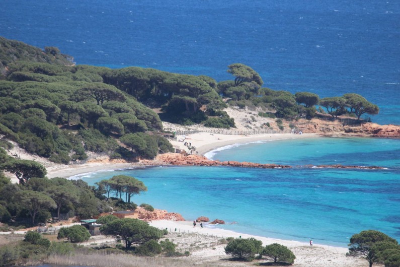 Location de vacances - Maison - Villa à Porto-Vecchio - Plage de Palombaggia