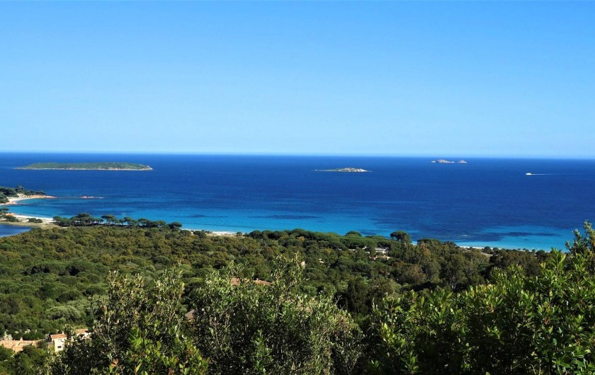 Location de vacances - Maison - Villa à Porto-Vecchio - Plage de Palombaggia