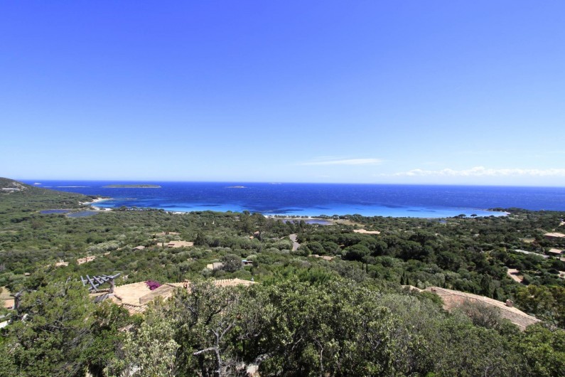 Location de vacances - Maison - Villa à Porto-Vecchio - Baie de Palombaggia