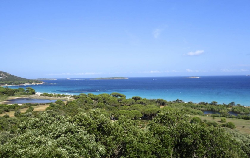 Location de vacances - Maison - Villa à Porto-Vecchio - Plage de Palombaggia à 900 m