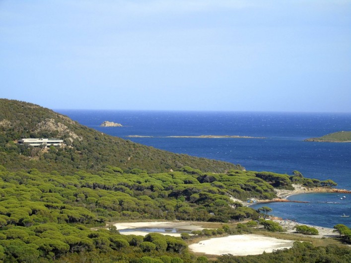 Location de vacances - Maison - Villa à Porto-Vecchio - Plage de Palombaggia, I Pini