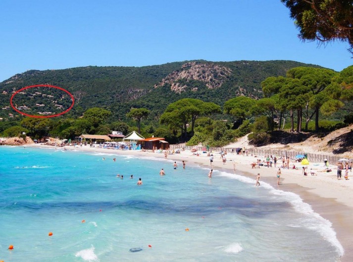 Location de vacances - Maison - Villa à Porto-Vecchio - Plage de Palombaggia