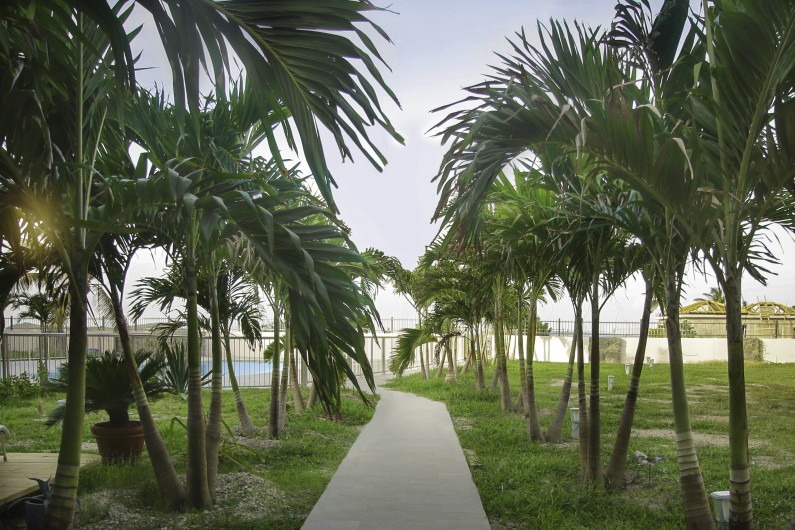 Location de vacances - Appartement à Saint-Martin