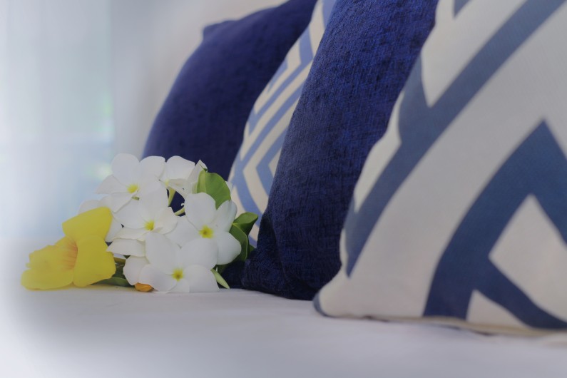 Location de vacances - Appartement à Saint-Martin