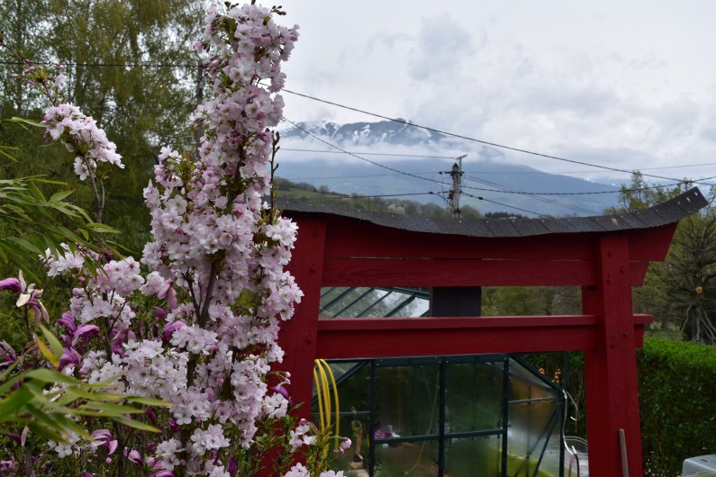 Location de vacances - Villa à Pierre-Châtel - Torii et cerisier du Japon