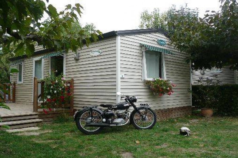 Location de vacances - Camping à Tarascon