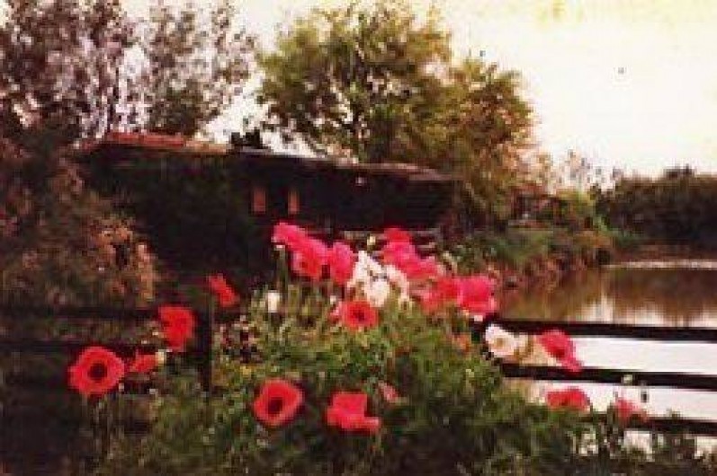 Location de vacances - Bungalow - Mobilhome à Portiragnes