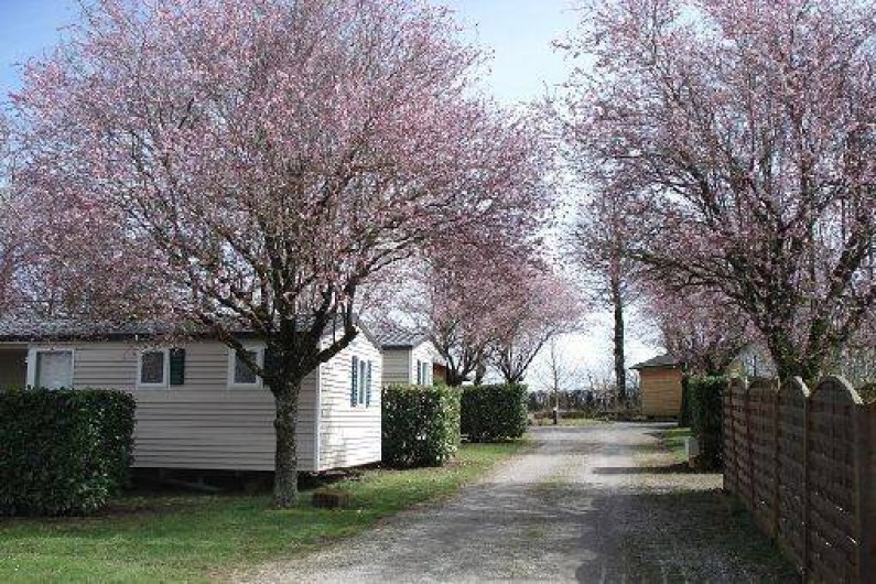 Location de vacances - Camping à Naucelle
