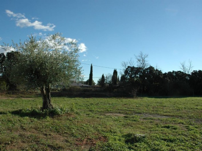 Location de vacances - Villa à Arles - Jardin