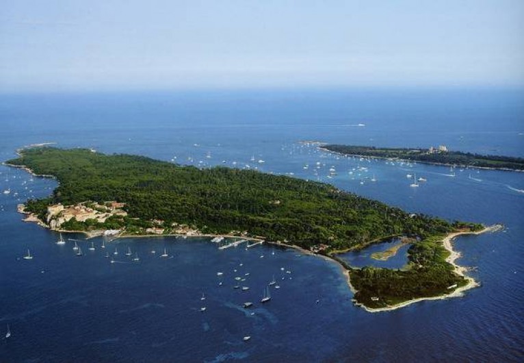 Location de vacances - Villa à Mandelieu-la-Napoule