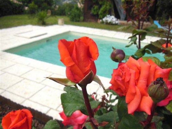 Location de vacances - Villa à Mandelieu-la-Napoule