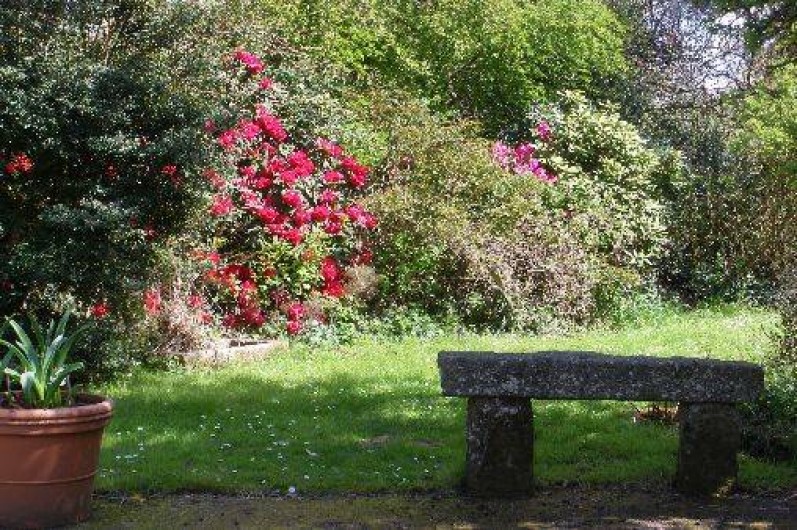 Location de vacances - Gîte à Hambye