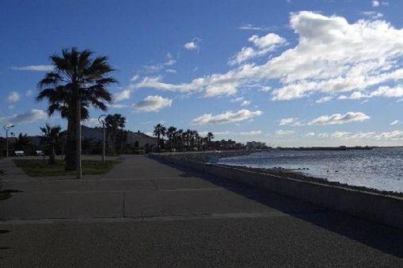 Location de vacances - Maison - Villa à Gruissan