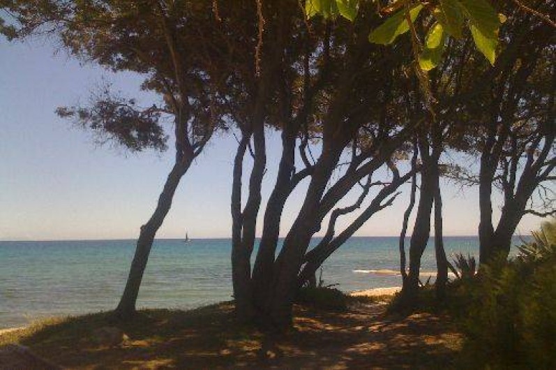 Location de vacances - Villa à Cervione