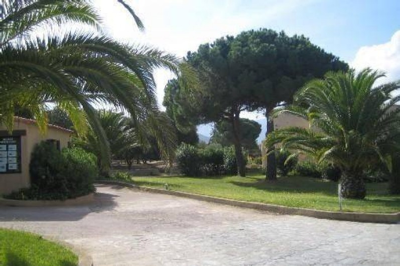 Location de vacances - Appartement à Lumio