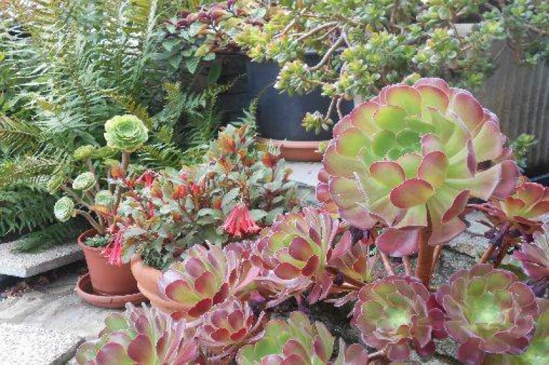 Location de vacances - Gîte à Douarnenez