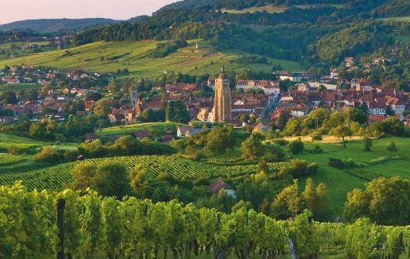 Location de vacances - Appartement à Arbois