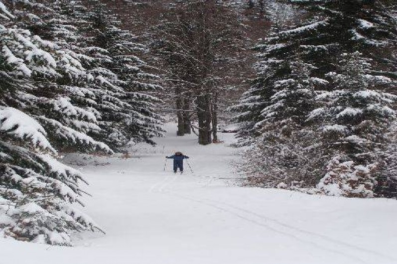 Location de vacances - Appartement à Laveissière