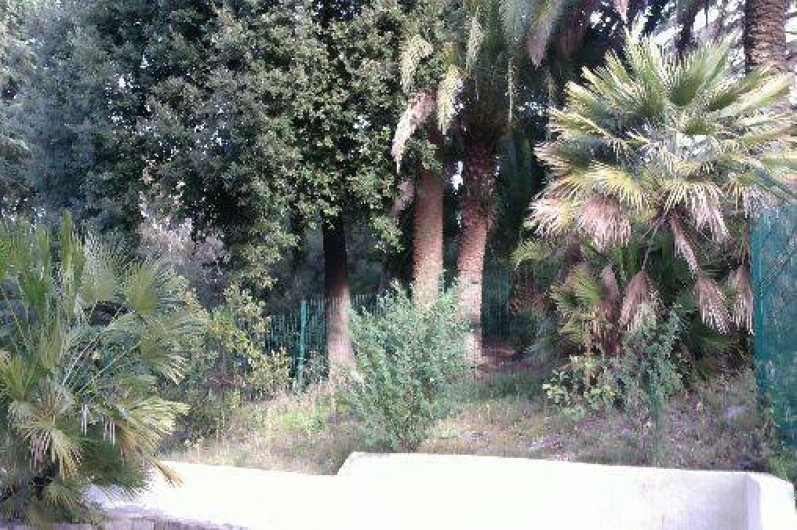 Location de vacances - Appartement à Cannes