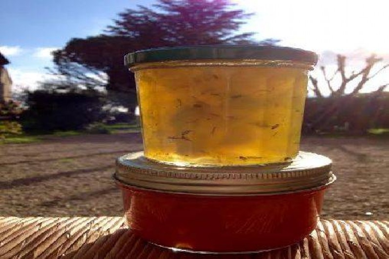 Location de vacances - Chambre d'hôtes à Violes