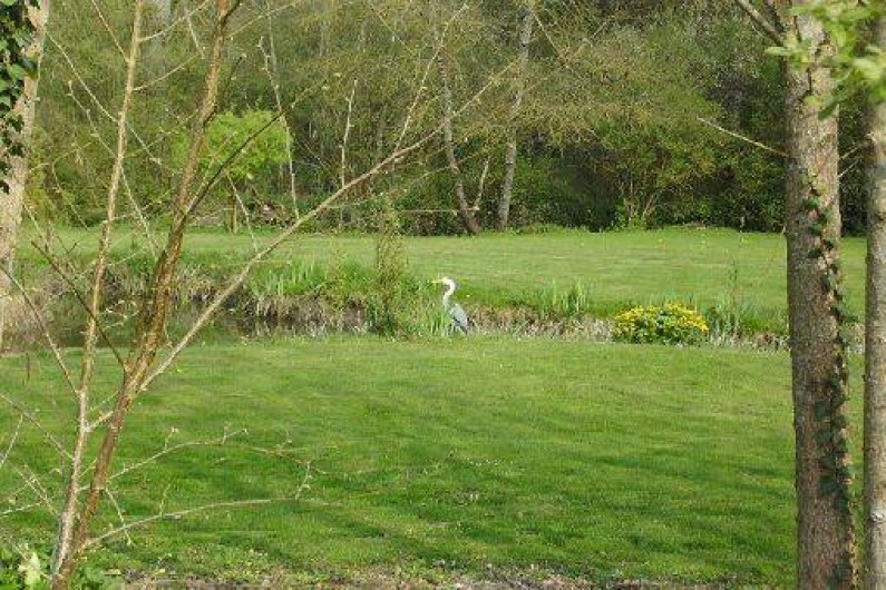 Location de vacances - Gîte à Savigné-sous-le-Lude