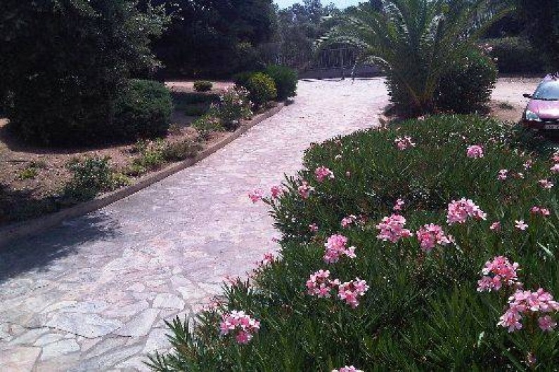 Location de vacances - Appartement à Lumio