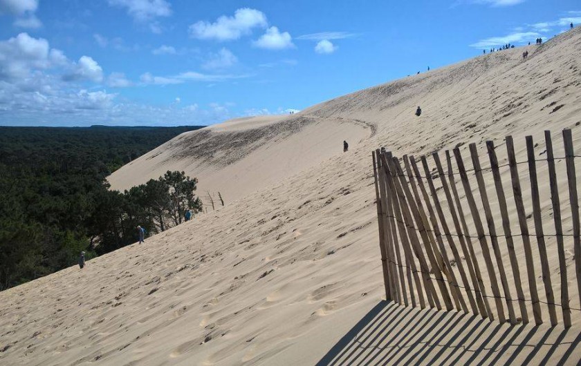 Location de vacances - Appartement à Arcachon