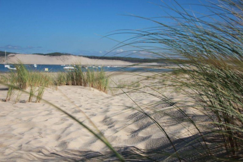 Location de vacances - Appartement à Arcachon