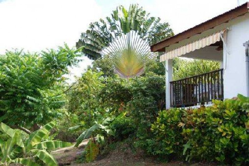 Location de vacances - Gîte à Vieux Habitants