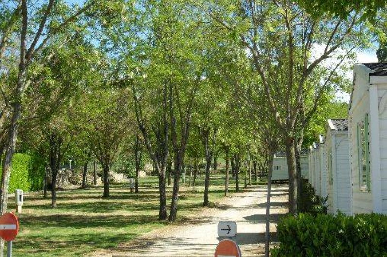 Location de vacances - Camping à Saint-Remèze