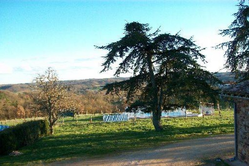 Location de vacances - Gîte à Puycelsi