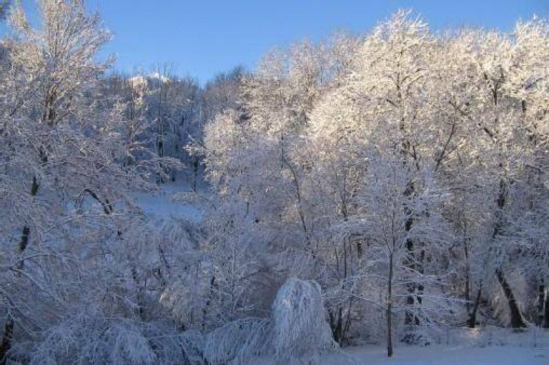 Location de vacances - Chalet à Garin