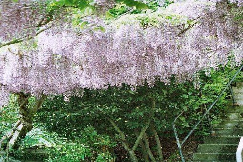 Location de vacances - Gîte à Monestiés