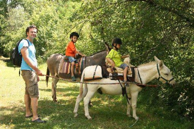 Location de vacances - Gîte à Monestiés