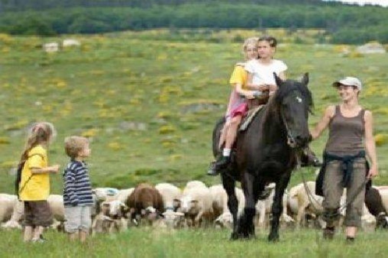 Location de vacances - Villa à Les Salelles