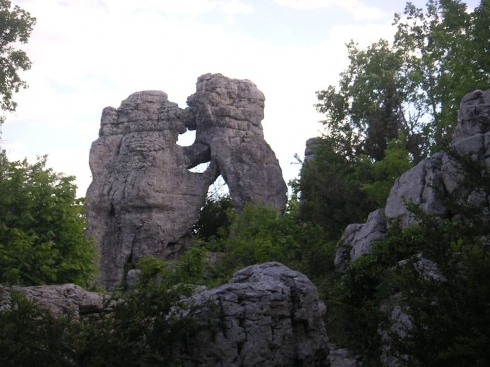 Location de vacances - Villa à Les Salelles - le lion et l'ours randonnée au bois de païolive