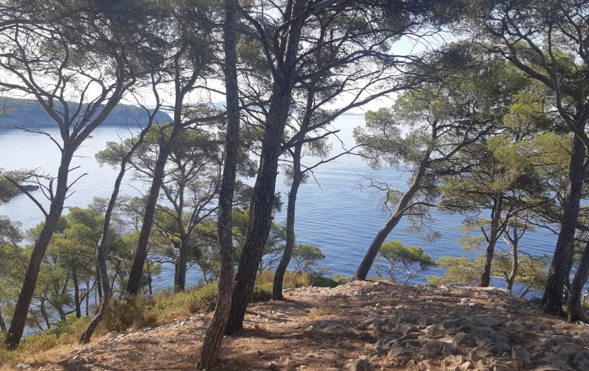 Location de vacances - Appartement à Saint-Cyr-sur-Mer