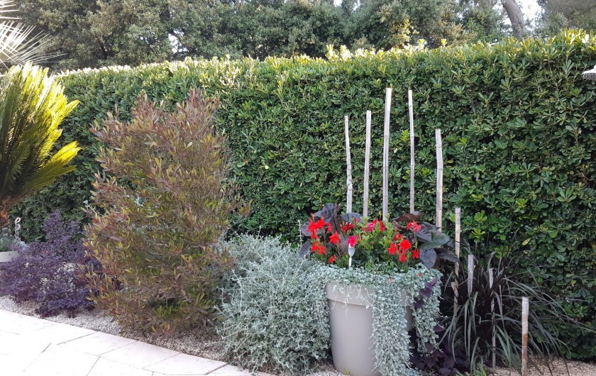 Location de vacances - Appartement à Saint-Cyr-sur-Mer