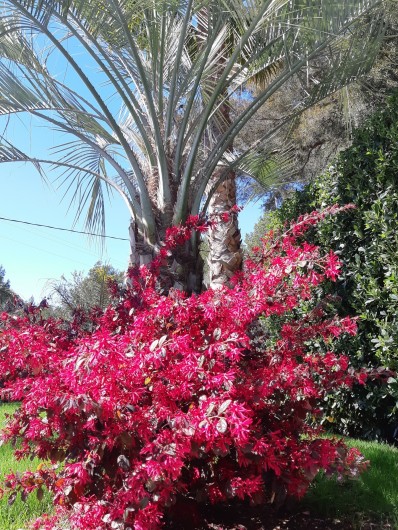 Location de vacances - Appartement à Saint-Cyr-sur-Mer