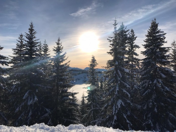 Location de vacances - Appartement à Les Gets