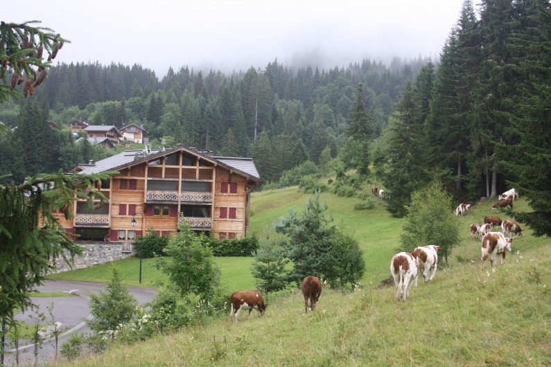 Location de vacances - Appartement à Les Gets
